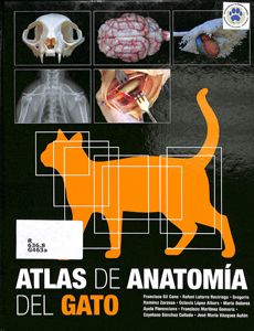atlas-de-anatomia-del-gato-page-0001355CE4EC-E4DD-86E6-0236-B2B3C012DB30.jpg