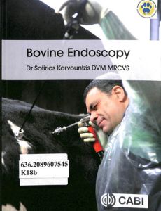 especies-mayores-bovine-endoscopyE6C73022-CBE6-D0FD-93FF-16826604E731.jpg