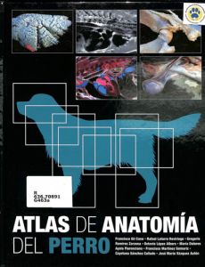 especies-menores-atlas-de-anatomia-del-perroA9966B51-292F-208D-2AE6-B45AE7CE8FF0.jpg