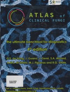 nueva-edicion-4221B188D-3FA5-B59C-0562-6C8774CC9DDB.jpg