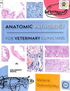 otras-especialidades-anatomic-pathology-for-veterinary-clinicians7F4E2CBE-A402-FFBC-A2E2-2B004D9FC5AB.jpg