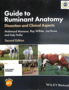 otras-especialidades-guide-to-ruminant-anatomyB32676C0-9EE4-01F9-2F4F-4F14ED1BEB03.jpg