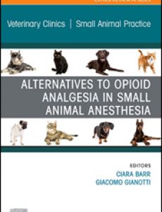 ALTERNATIVES TO OPIOID ANALGESIA IN SMALL ANIMAL ANASTHESIA